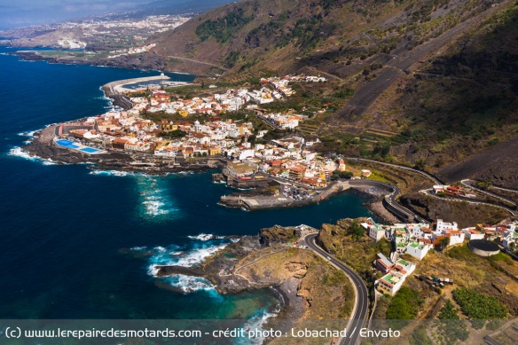 Canaries : Fiche identité