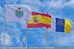 Canaries : Lexique