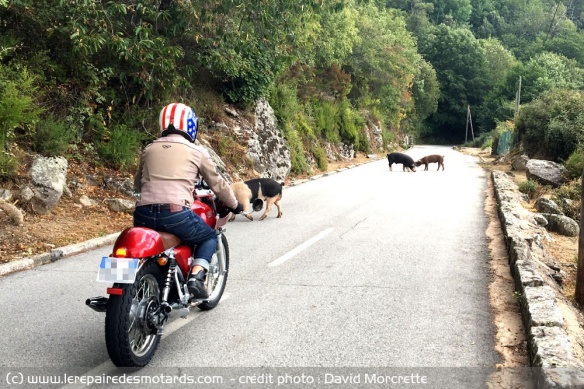 Location de moto en Corse Location de moto en Corse