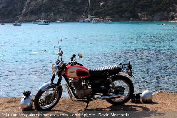 Une pause baignade sur la plage de Roccapina