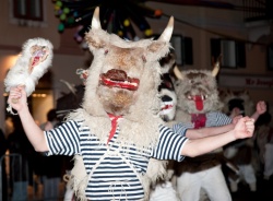 Carnaval de Rijeka