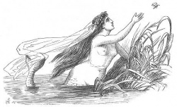Gravure de la petite sirène 