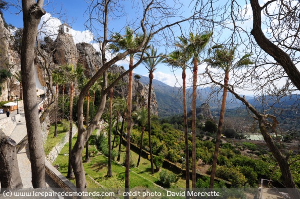 La palmeraie au pied du chateau de Guadavest