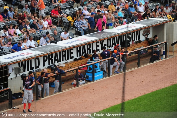 Banc de Baseball