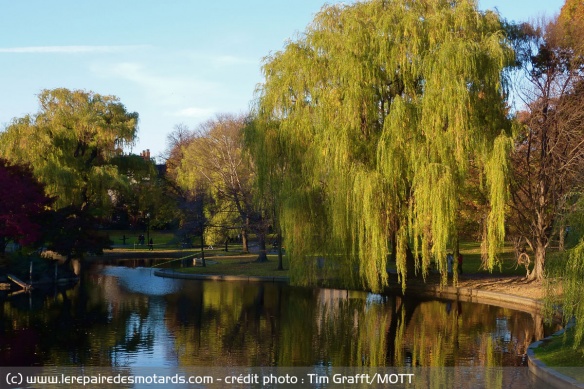 les jardins publics de Boston