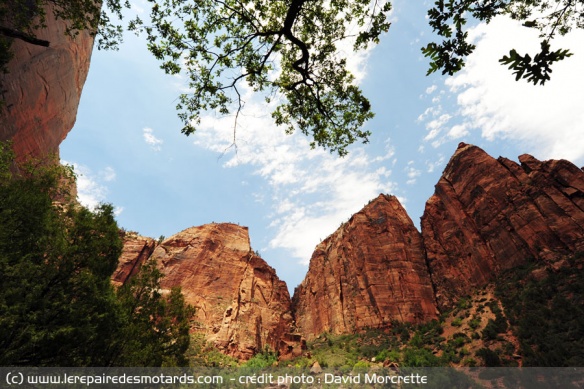 La vue depuis les emerald pools trails ou piscine d'émeraude dans le canyon