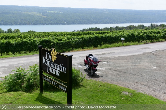 Les vignes dans les Finger lakes