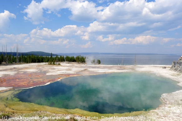 Les geysers de Grant Village le long du lac Yellostowne