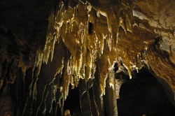 Mammoth Cave