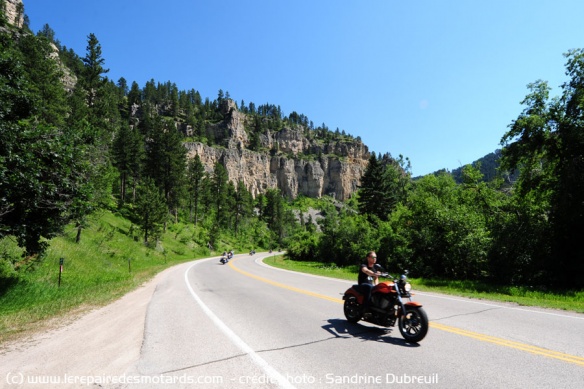 Rouler dans les Black hills, un pur bonheur