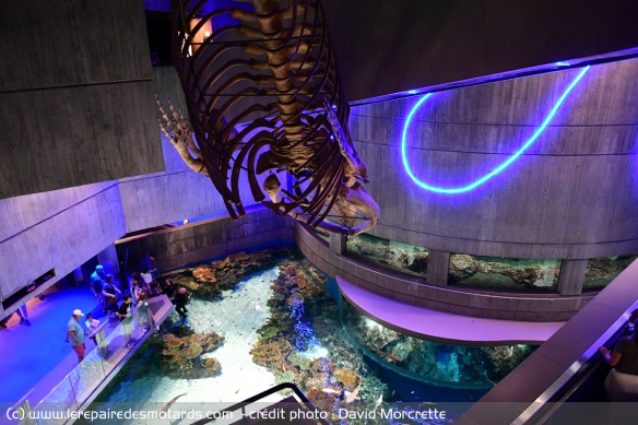 Aquarium national à Baltimore