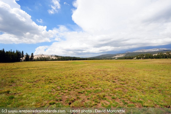 Prairie Tuolumine Meadows dans le parc Yosemite