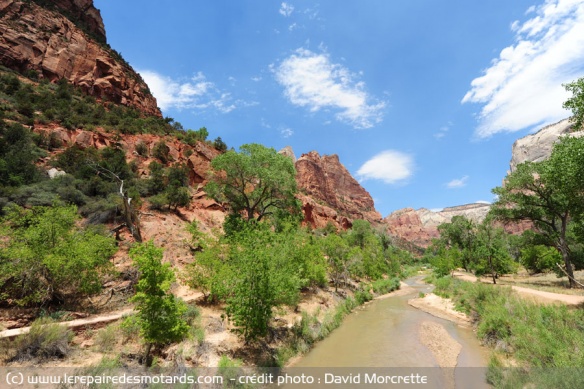 La riverside walk dans le parc national Zion