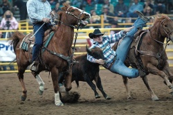 Rodeo (Photo : Arthur Mouratidis)
