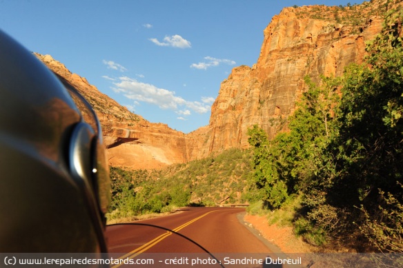 La route rouge en grès navajo du Parc national Zion