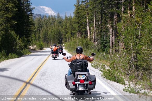 Les harley sont moniprésentes