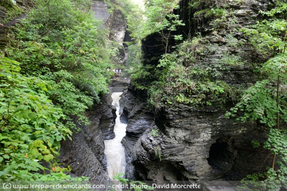 Watkins glen park