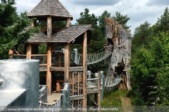 le wild center