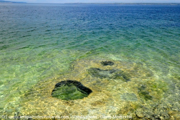 le lac Yellowstone et ses merveilles
