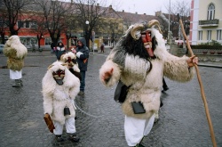 Carnaval des busós