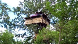 Wild Canopy Reserve 