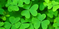 Saint Patrick day