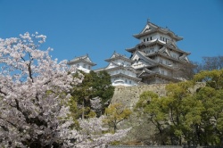 Chateau de Himeji Osaka