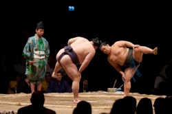 Combat de sumo