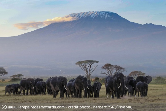 Kenya : Météo et climat Kenya : Météo et climat