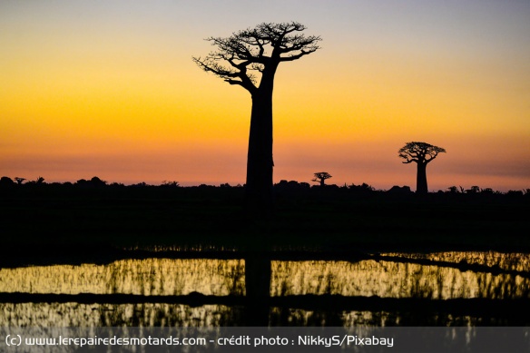 Madagascar : Météo et climat