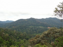 Parc Taman Negara (Photo : Clothilde.escouflaire)