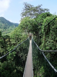 Taman Negara Parc national