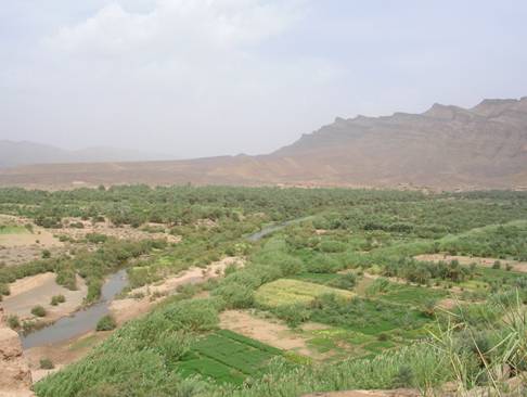 Oasis avant Zagora