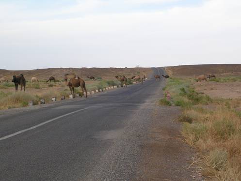 route vers Erfoud