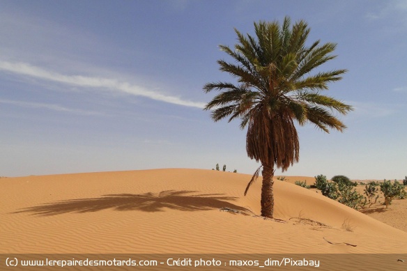 Mauritanie : Météo et climat Mauritanie : Météo et climat