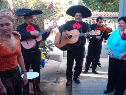 Mariachis