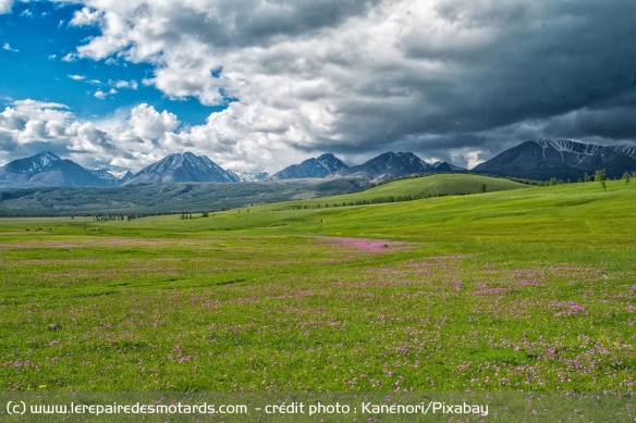 Mongolie : Infos pratiques Mongolie : Infos pratiques