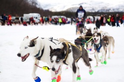 Finnmarksløpet