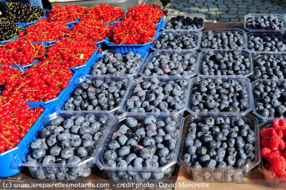 Baies et fruits rouges à foison