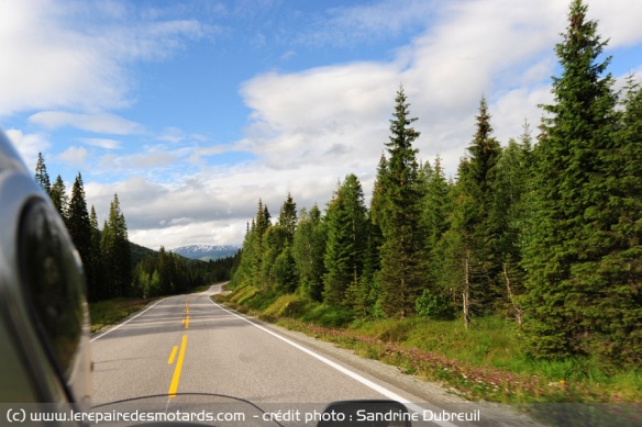 La route E6 à travers la forêt