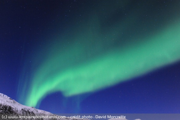 Northern Light