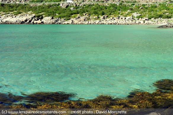 Plage et mer verte sur l'ile d'Austvagoy