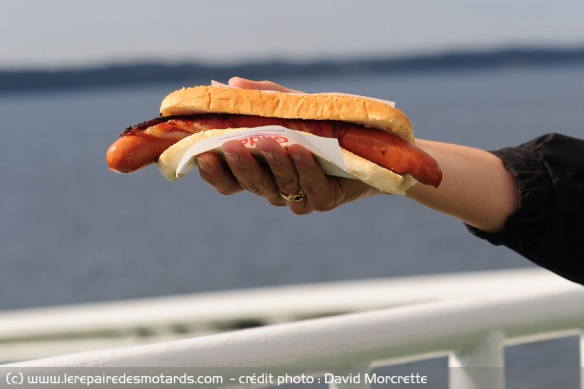 Pølse : le hot dog norvégien