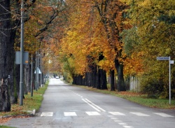 Pologne : météo et climat - crédit photo : Rados?aw Dro?d?ewski