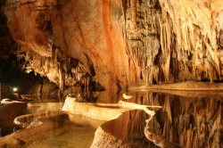 Grotte Domica