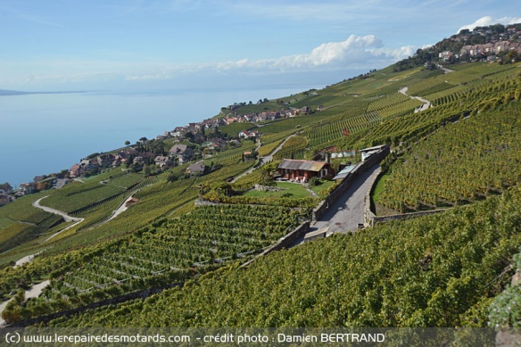 Retour en selle pour une balade à travers les côteaux de Lavaux