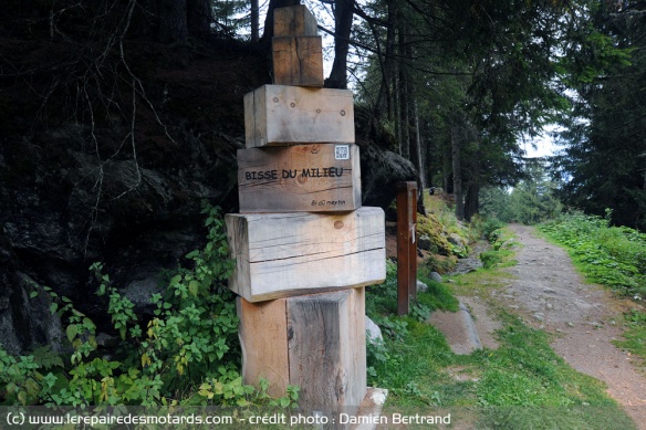 6 bisses sont encore en activité dans le Nendaz
