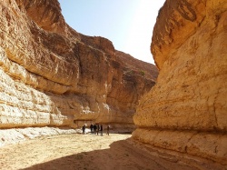 Tunisie : météo et climat