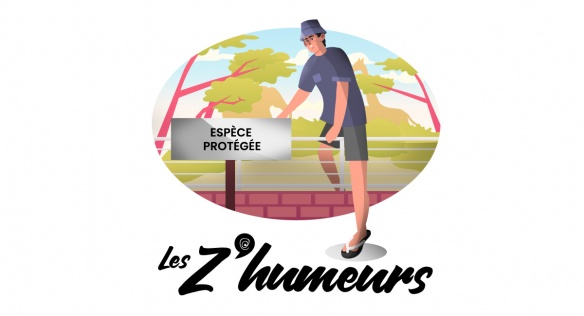 Z'humeurs : Le kéké est-il une espèce en voie de disparition ?